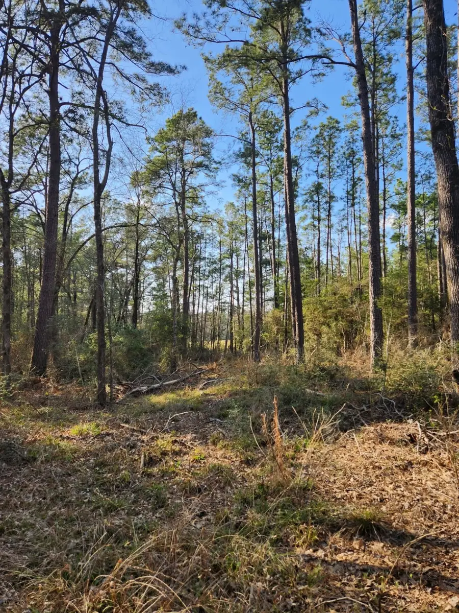 1038 Counts Rd, Point Blank, TX 77364 - Image #3