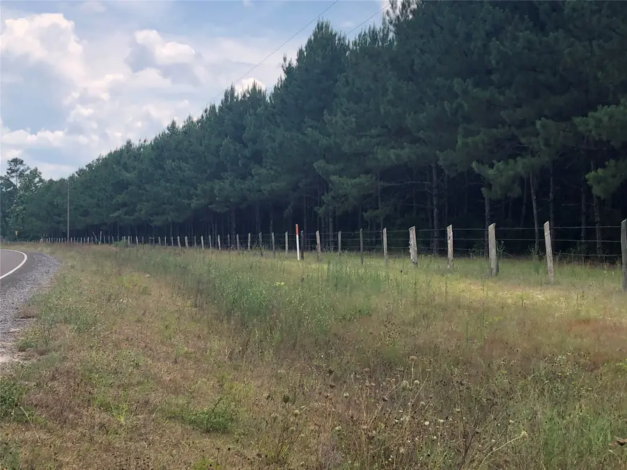 13136 Fm 943, Livingston, TX 77351 - #2