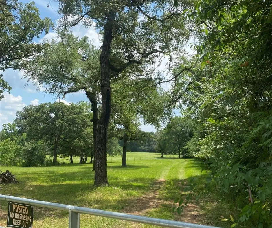 3301 Fm 2693 Road W, New Waverly, TX 77358 - #1