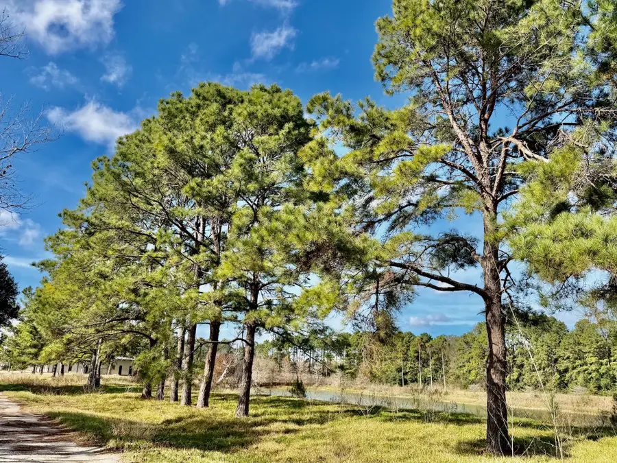 851 County Road 149, Alvin, TX 77511 - #2