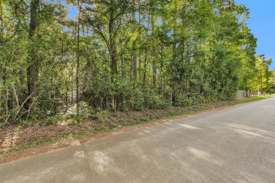 15662 Ben Wiggins, Conroe, TX 77303 - #3