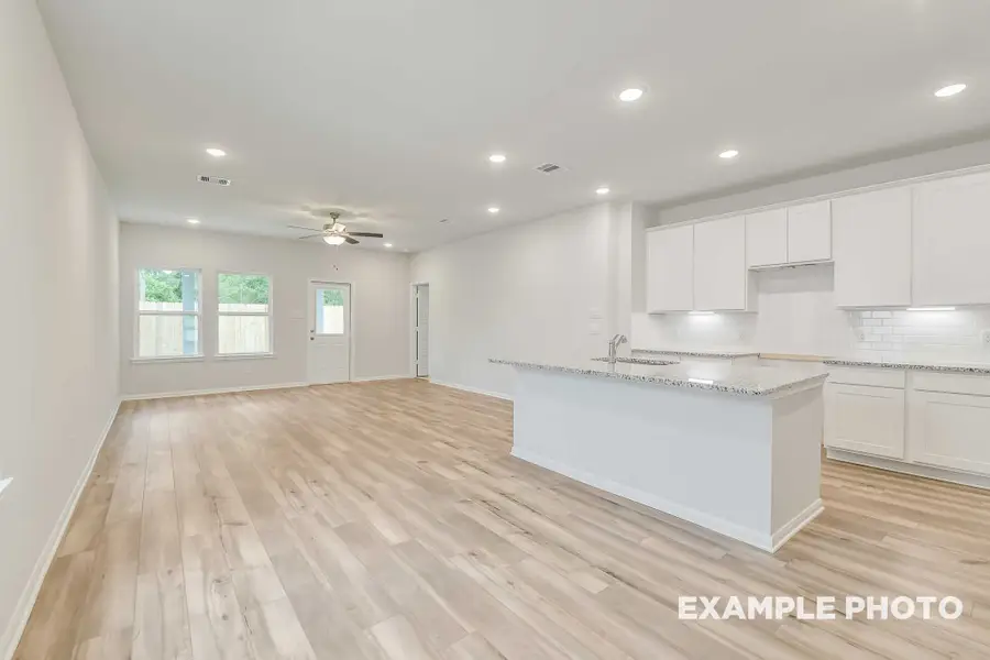229 E Canopy Crossing Circle, Conroe, TX 77301 - #3