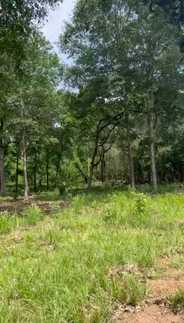 16414 Old Couch Road Drive, Stagecoach, TX 77355