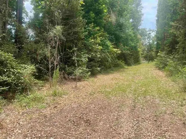 01 County Road 4600, Fred, TX 77616 - Image #1