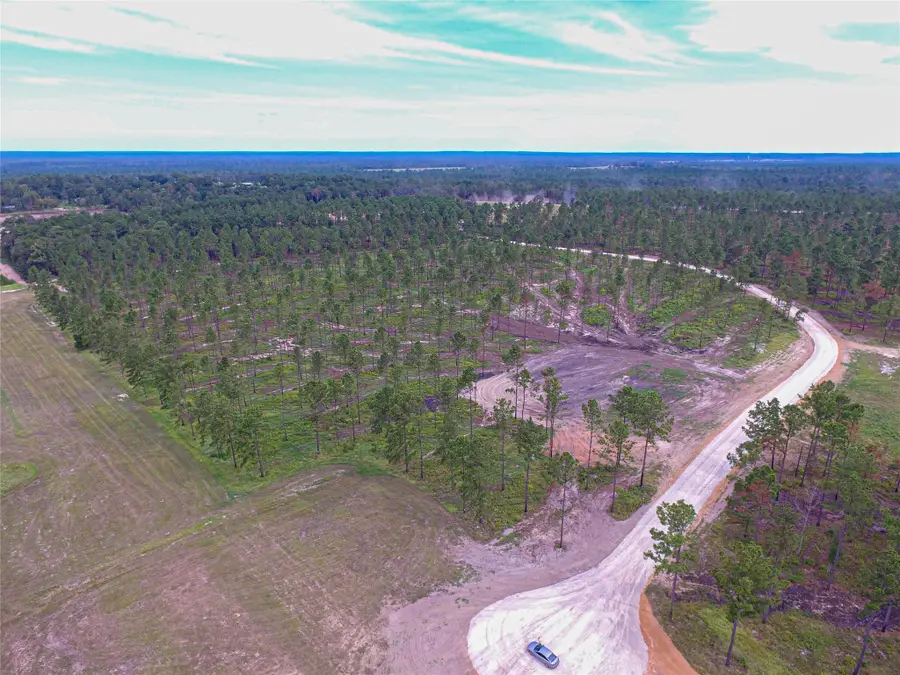 0010 Nelson Dr, Livingston, TX 77351 - #3