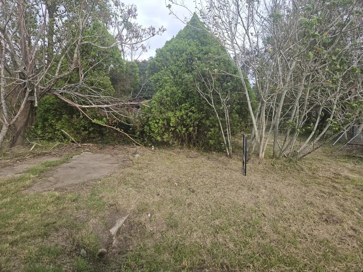 413 2nd Street, Rosenberg, TX 77471 - #1