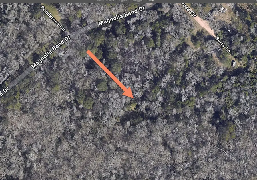 0 Berry Ln, Conroe, TX 77302 - Image #3