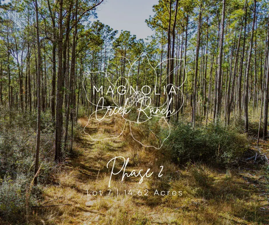 027 King Ranch Road South Road, Onalaska, TX 77360 - Image #1