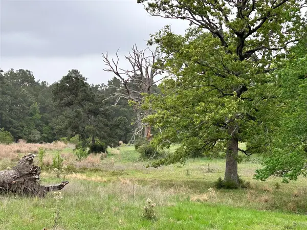 LOT 203 Overhill Court, Hillister, TX 77624