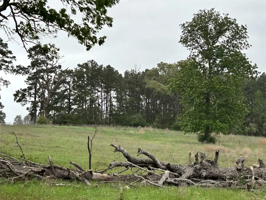 LOT 203 Overhill Court, Hillister, TX 77624 - Image #2