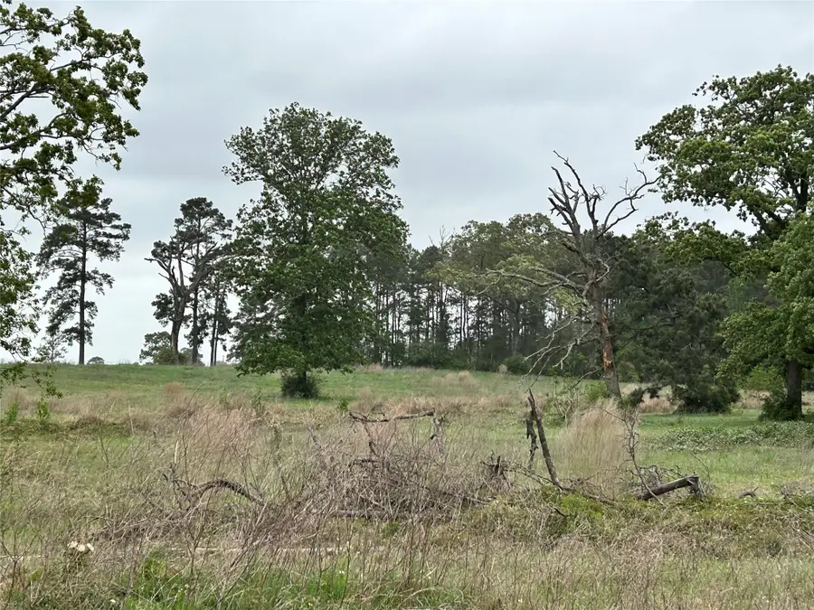 LOT 203 Overhill Court, Hillister, TX 77624 - Image #3
