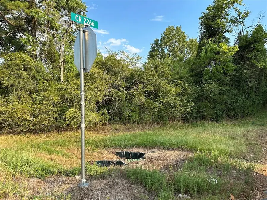 TBD Hwy 105 County Road 2266, Cleveland, TX 77327 - Image #2