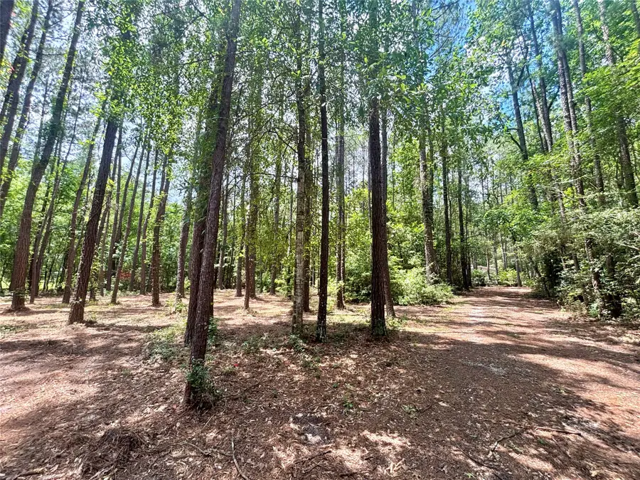713 County Road 4525, Warren, TX 77664 - #2