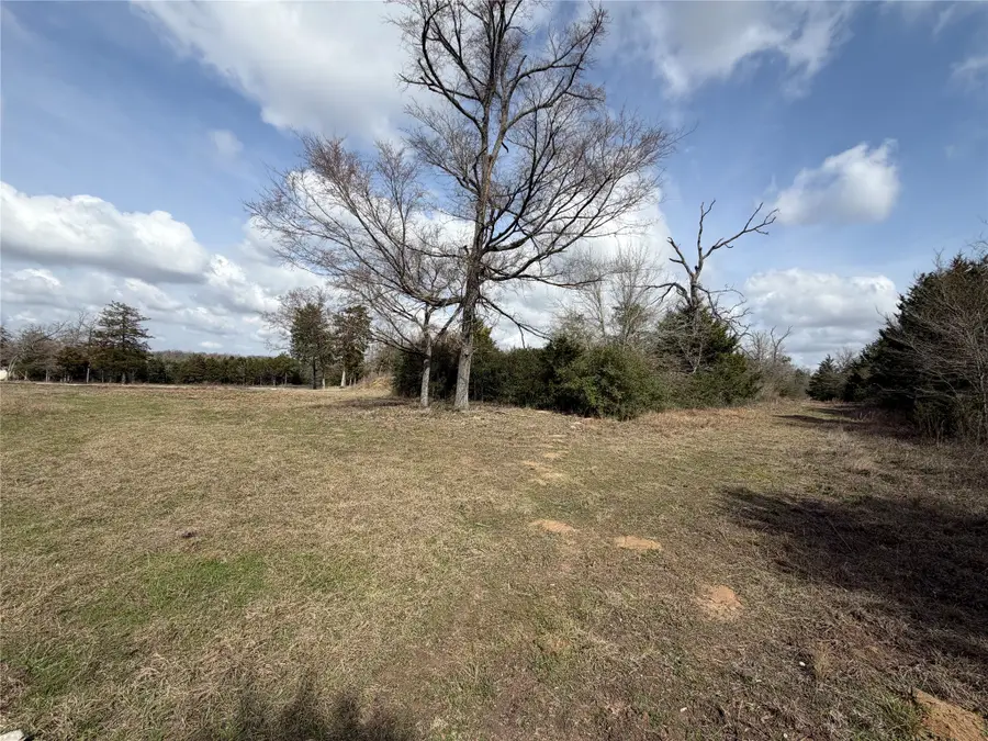 Lot 1 Cr 389, Jewett, TX 75846 - #2