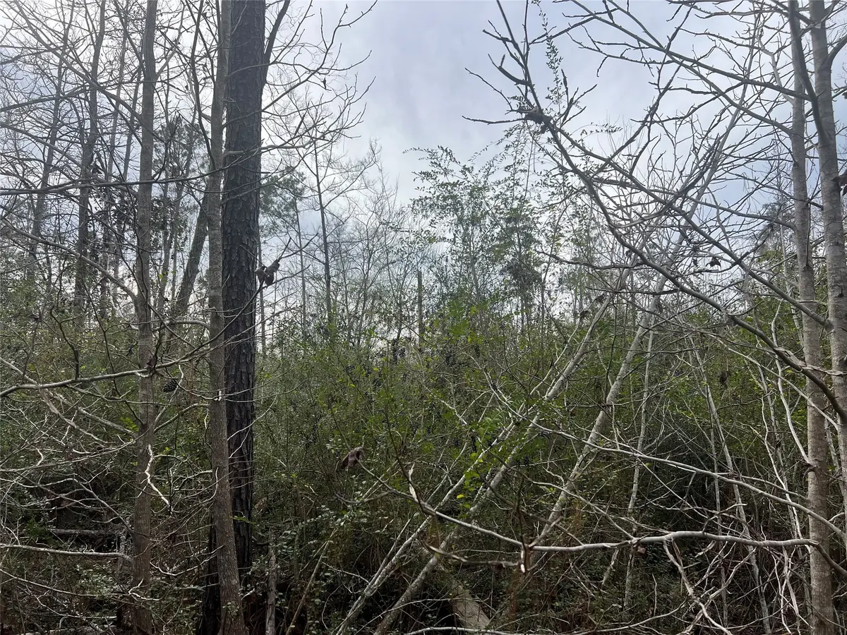 TBD 59 Loop Drive, Livingston, TX 77351 - Image #1