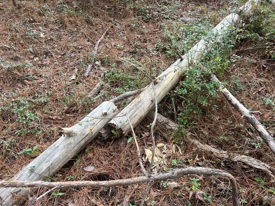 TBD 59 Loop Drive, Livingston, TX 77351 - Image #3