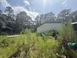 24558 Green Forest Drive, Splendora, TX 77372 - #1