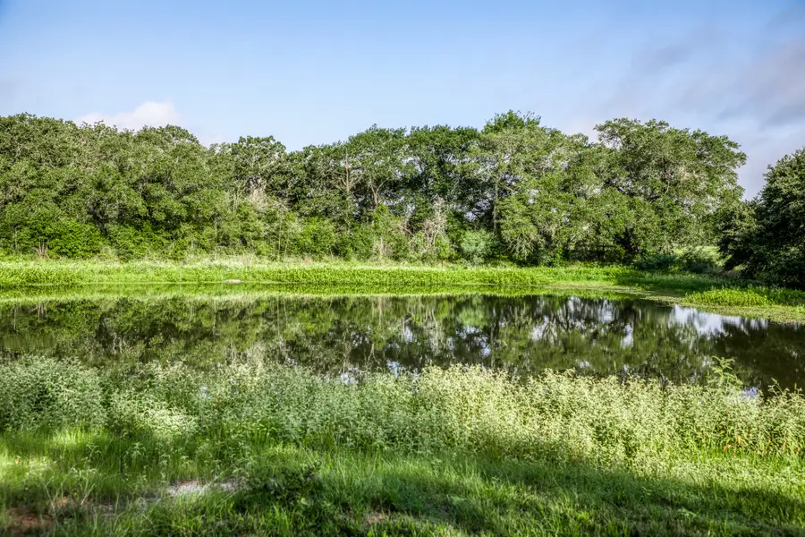 Tract 2 S Nassau Road, Round Top, TX 78954 - #3
