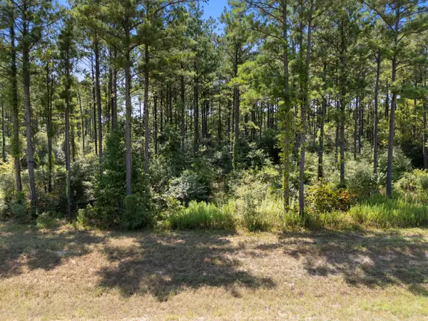 15735 Wooded Trail Way, Willis, TX 77378