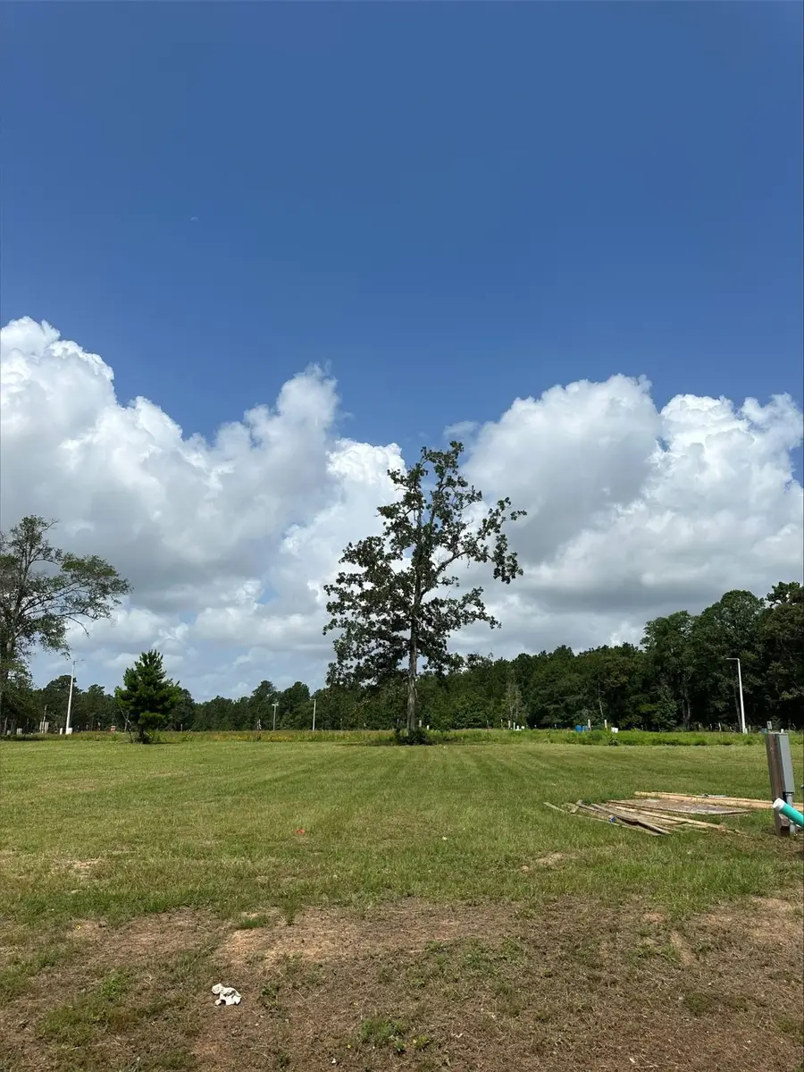 504 Shoreview Drive, Conroe, TX 77303 - Image #2