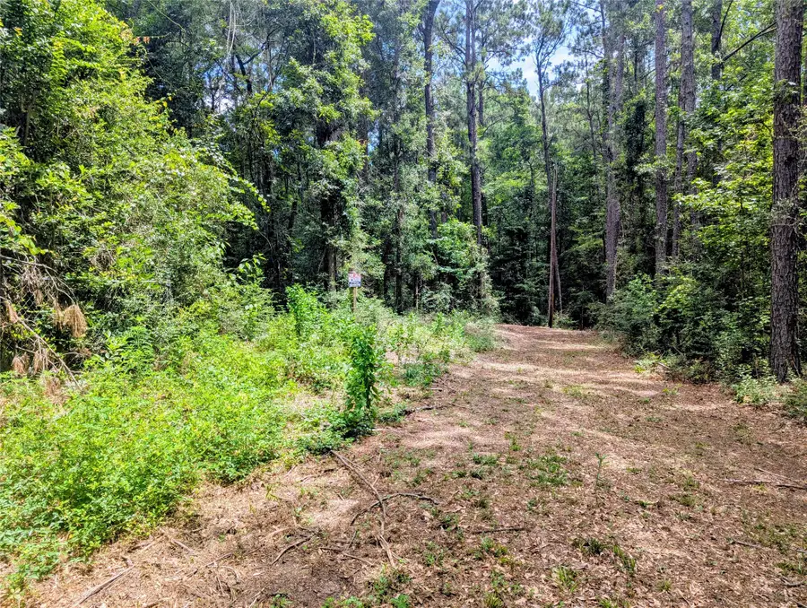000 Ole Long Pull Road, Livingston, TX 77351 - #3