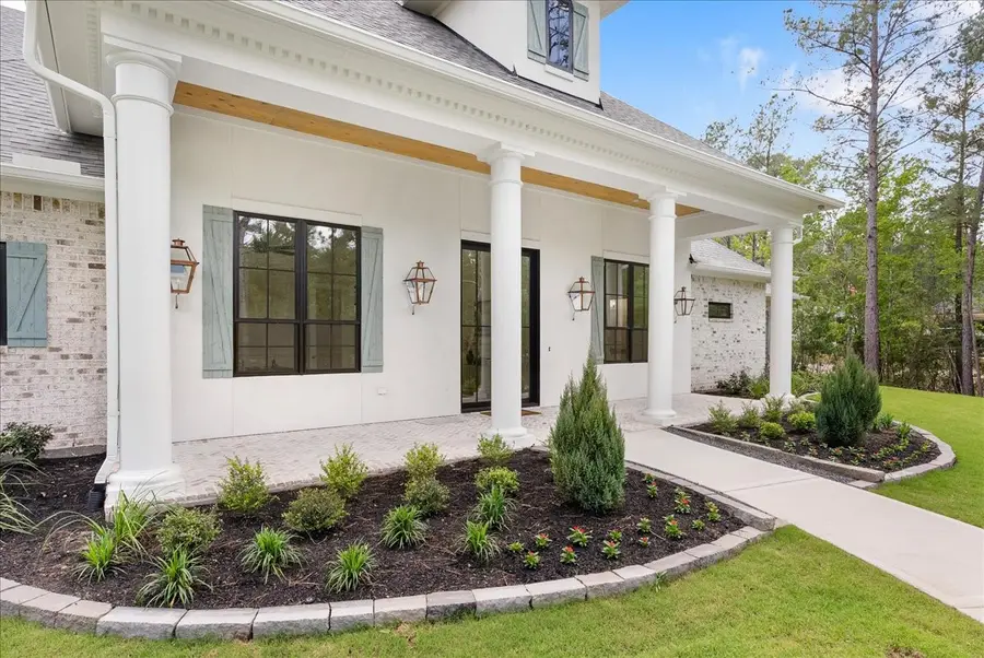 26041 Crown Ranch Boulevard, Montgomery, TX 77316 - #2