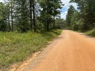 TBD Lilley Yeager Loop N, Shepherd Evergreen, TX 77328 - Image #3