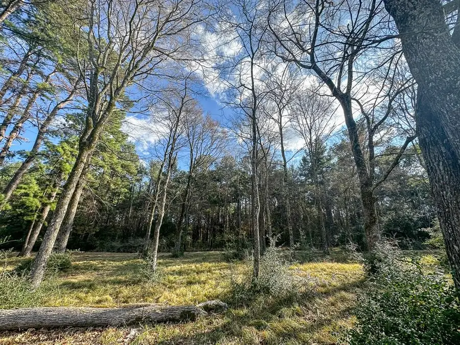 TBD Jamestown Rd, Trinity, TX 75862 - #3