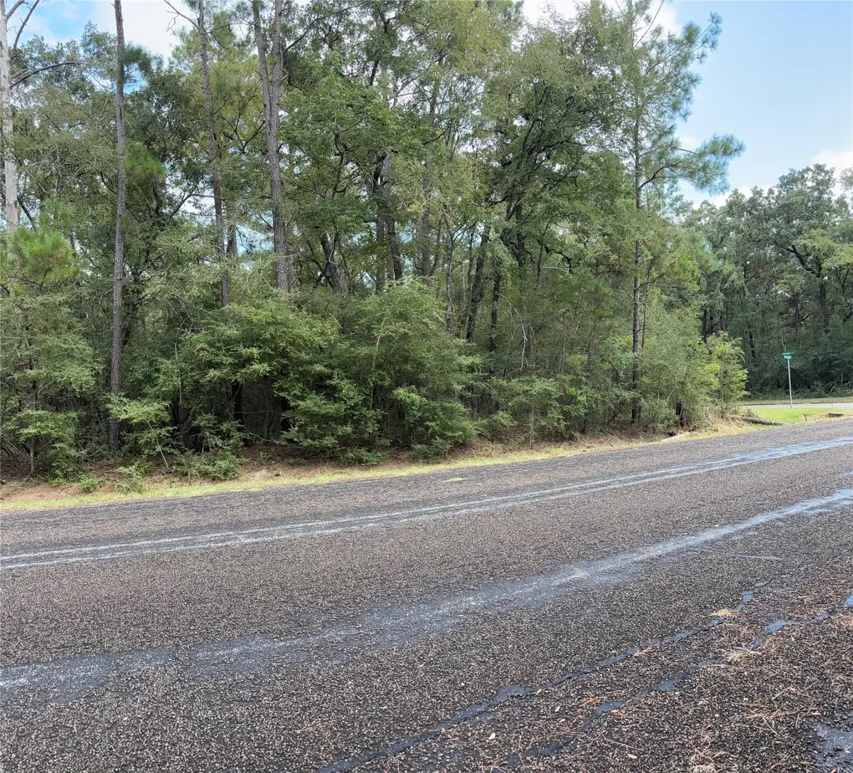 TBD Beechnut Ct, Huntsville, TX 77320 - Image #1