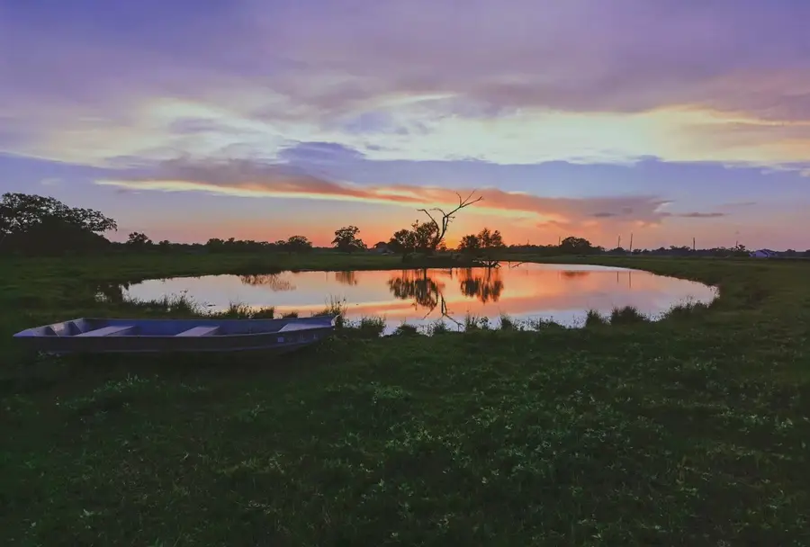 16419 Majestic Oaks Drive, Rosharon, TX 77583 - #2