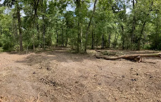 400 Pine Forest Acres, Trinity, TX 75862 - #2