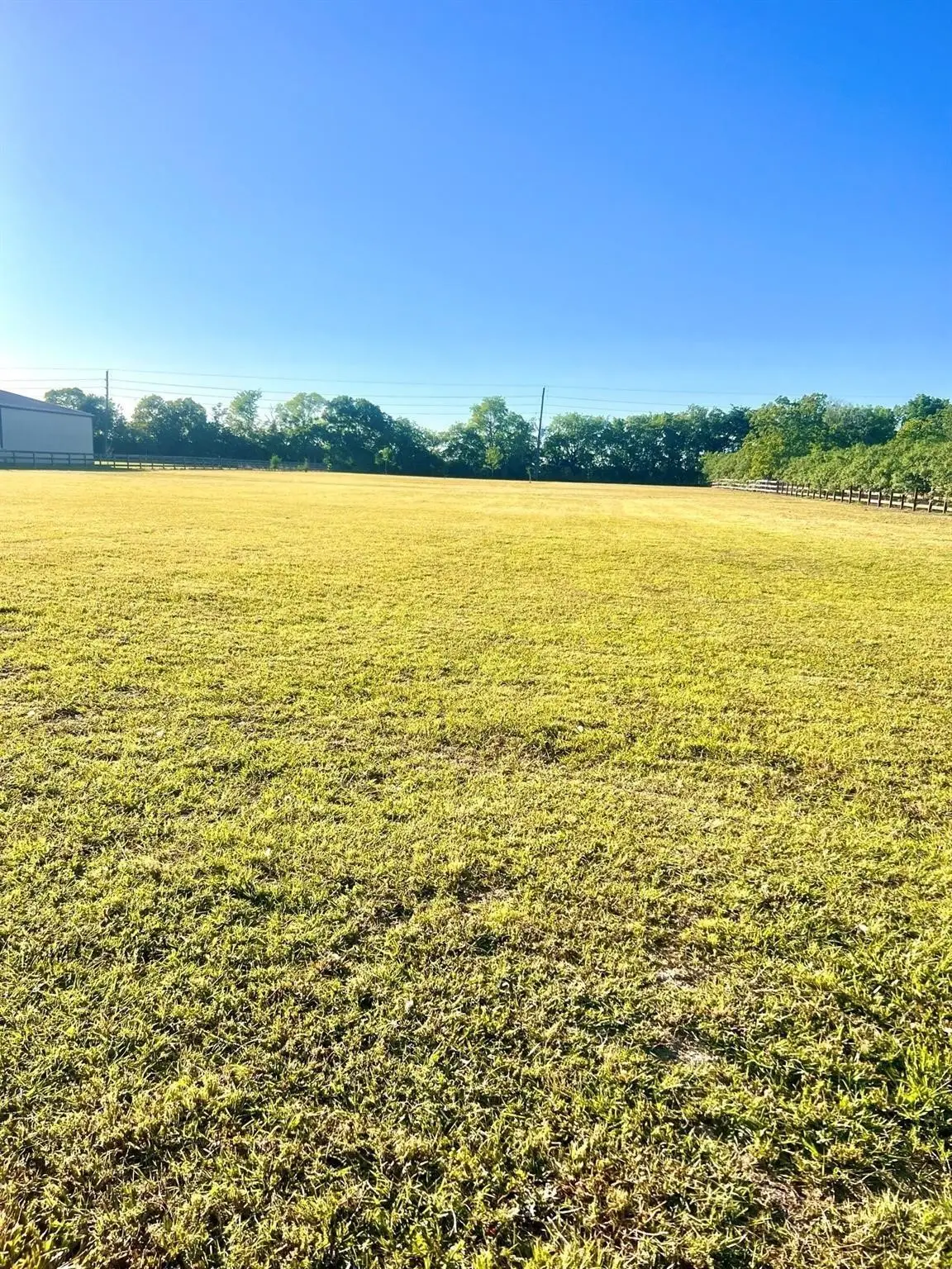 13702 Lakeview Meadow Drive, Richmond, TX 77469 - Image #1