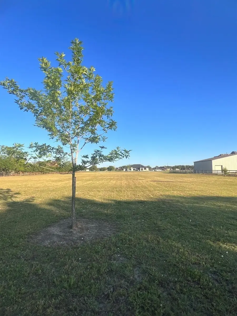 13702 Lakeview Meadow Drive, Richmond, TX 77469 - Image #2