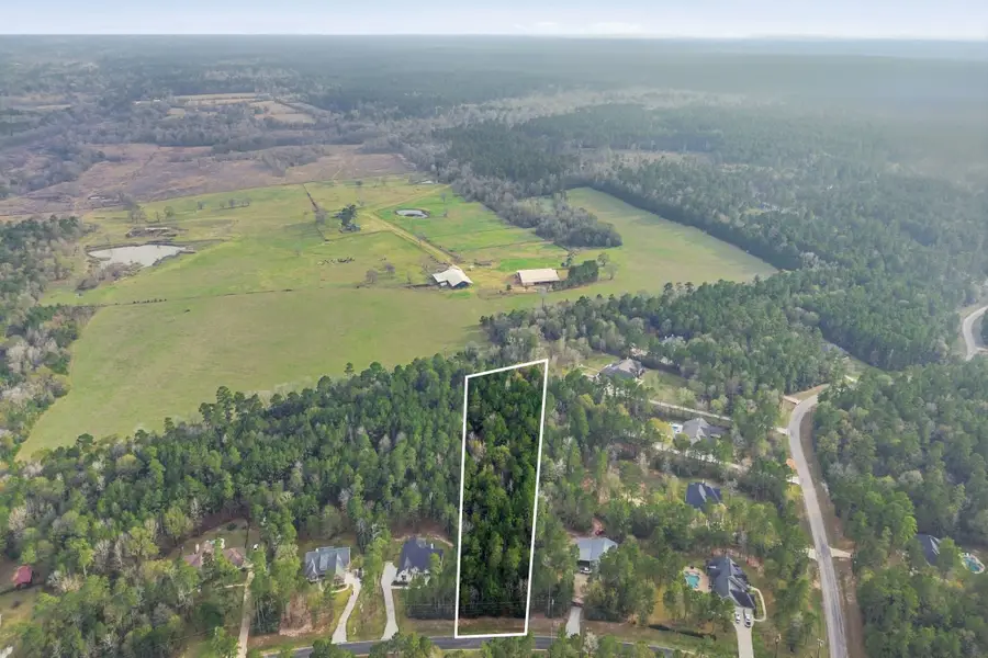 1-6-29 Dedication Trail, Huntsville, TX 77340 - Image #2