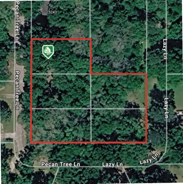 TBD Pecan Tree Lane, Montgomery, TX 77316