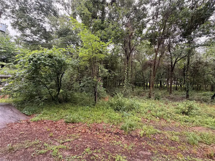 5265 Pecan Tree Lane, Montgomery, TX 77316 - #2