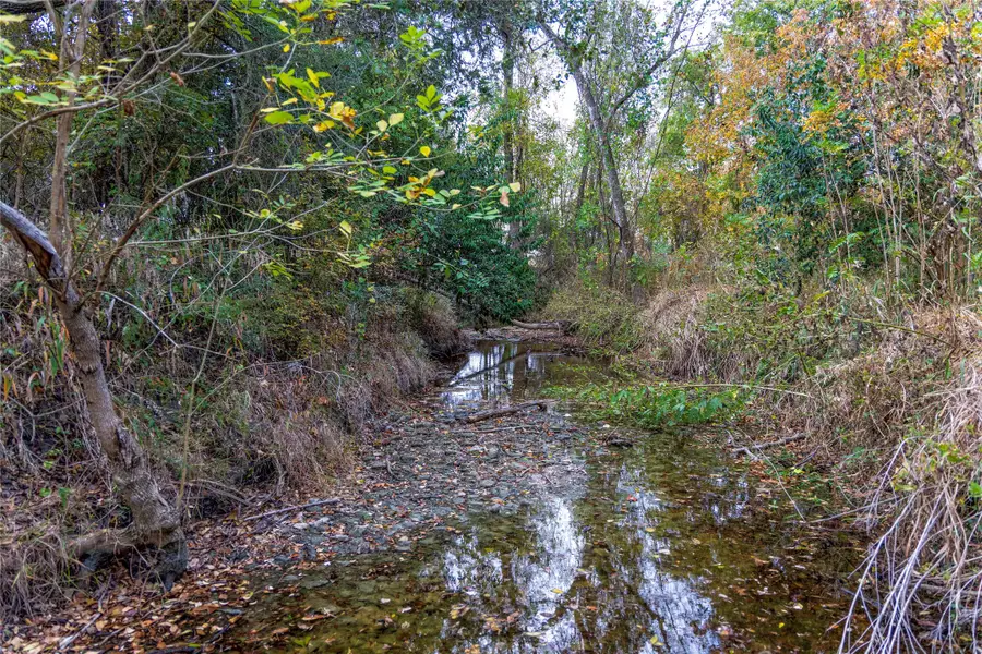1250 Ladewig Lane - Tract 1, Schulenburg, TX 78956 - #3