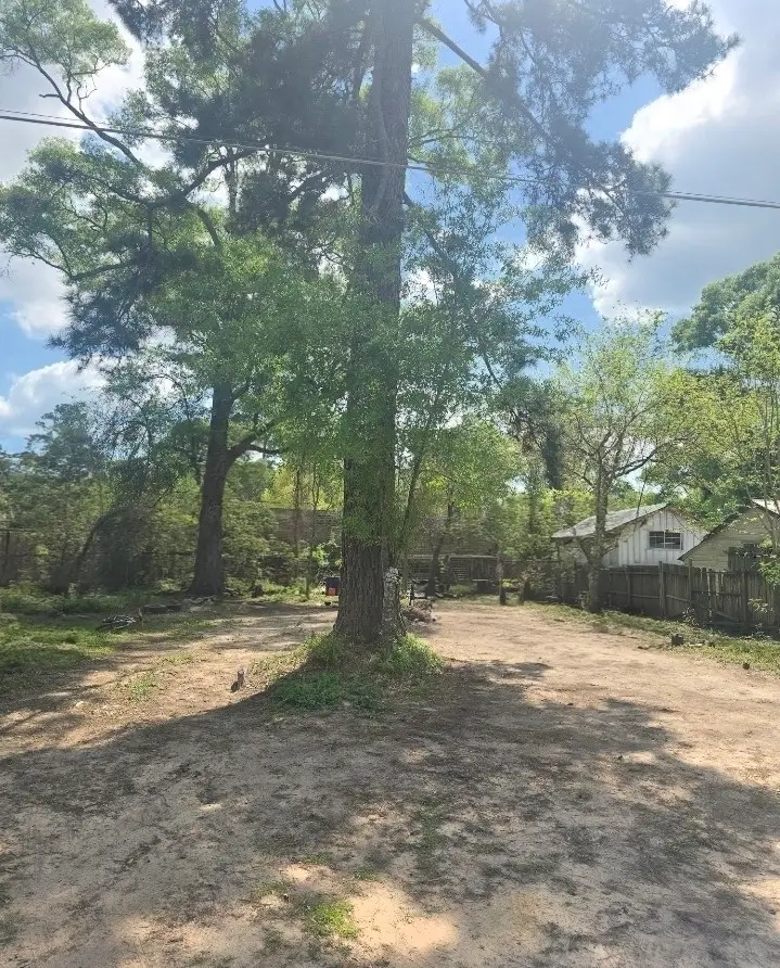 TBD Peach Creek, New Caney, TX 77357 - #2