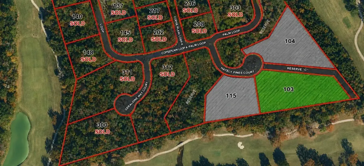 103 Chateau Pines Court, Montgomery, TX 77316 - #1