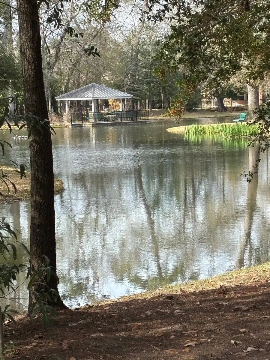 19861 Driver Forest Drive, Porter, TX 77365 - #2