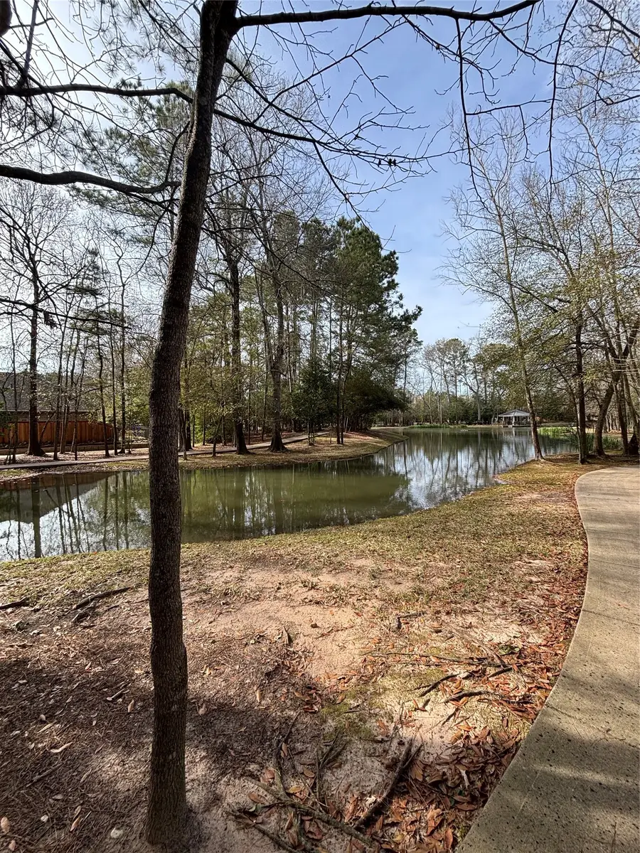 19861 Driver Forest Drive, Porter, TX 77365 - #3