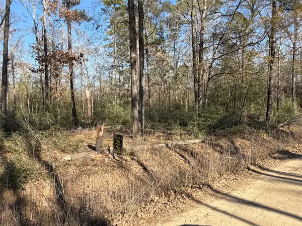 TBD Wild Bird Lane, Livingston, TX 77351