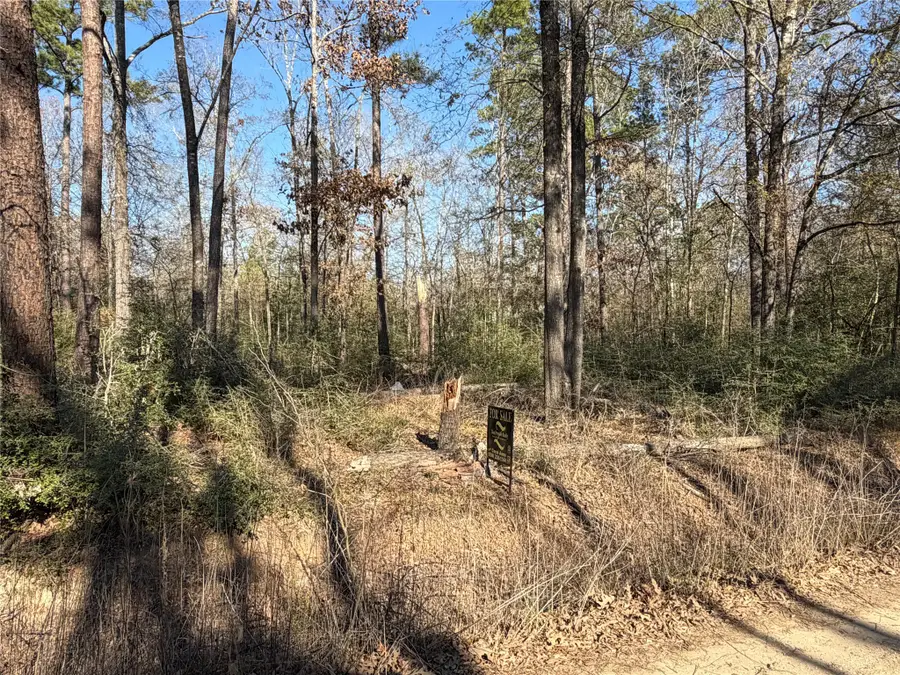 TBD Wild Bird Lane, Livingston, TX 77351 - #3