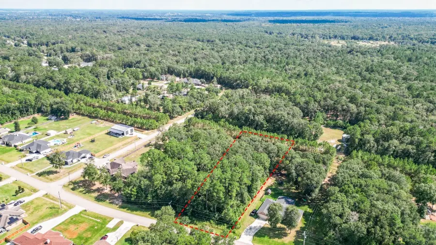 27538 Rio Blanco Drive, Splendora, TX 77372 - #3