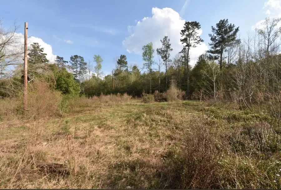 259 Road 2751, Cleveland, TX 77327 - Image #3