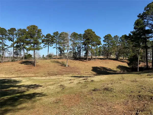 3984 County Road 3100, San Augustine, TX 75972