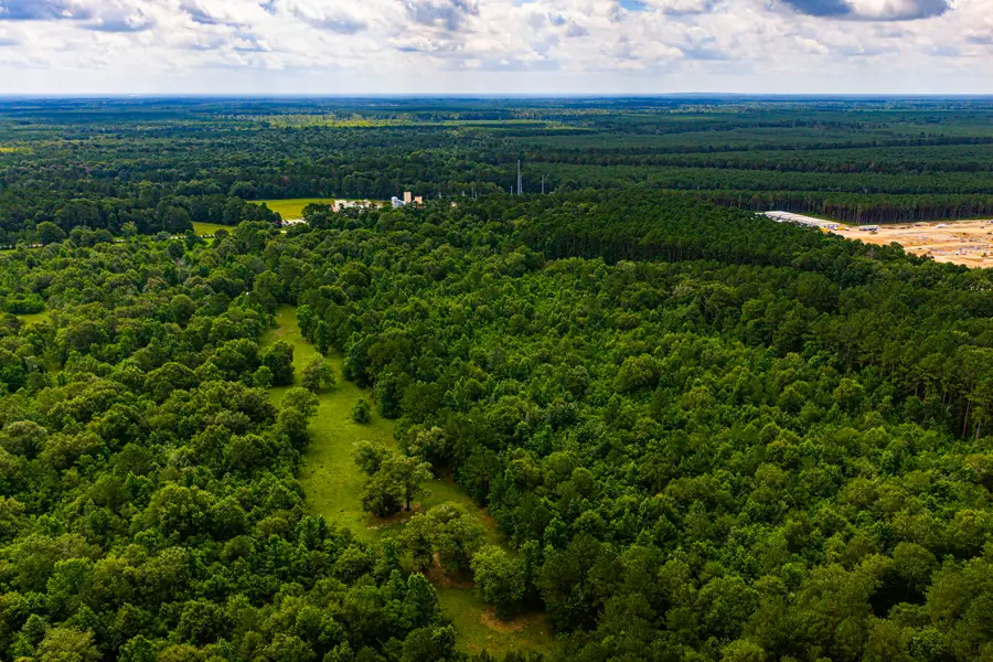 TRACT 11 Pelican Road, Shepherd, TX 77371 - #3