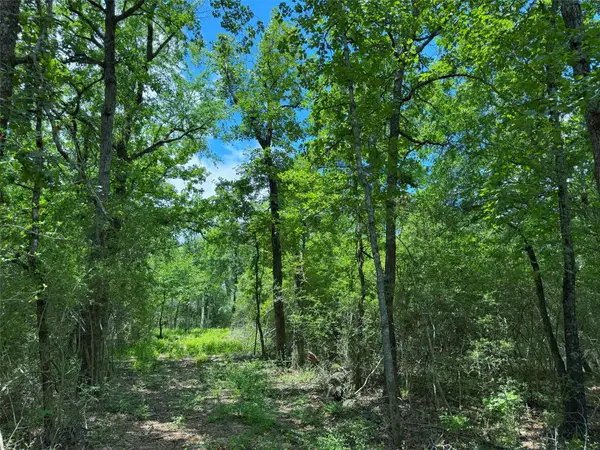 TBD Cr 295, Oakwood, TX 75855