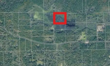Lot 18 Lake Ck Ranchettes 02, Magnolia, TX 77354 - #1