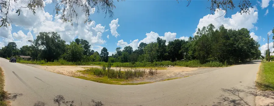 420 E Semands Street, Conroe, TX 77301 - #2
